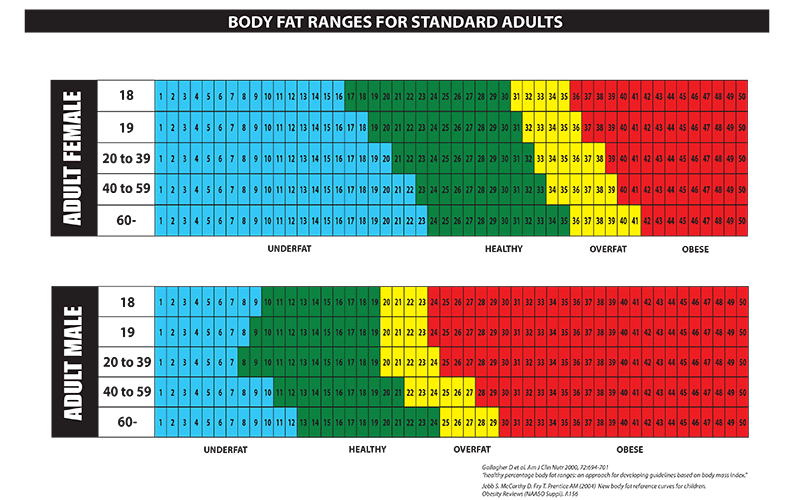 Body Fat Update: New body fat classification and lower body fat percentage  – Bodygee Guide